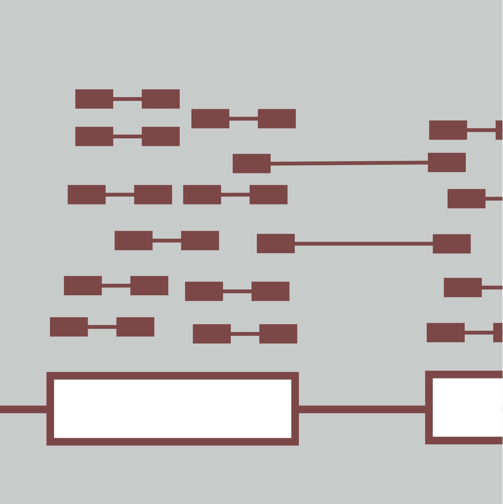 2023 Rna Seq Analysis Bioinformatics Ca 2023 Rna Seq Analysis Bioinformatics Ca